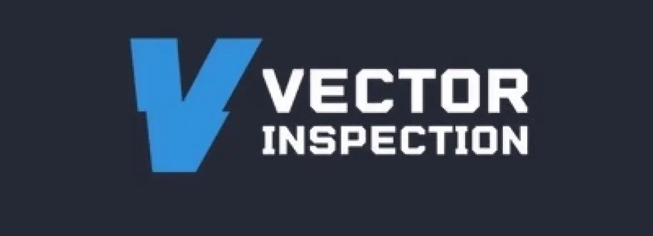 Vector Inspection