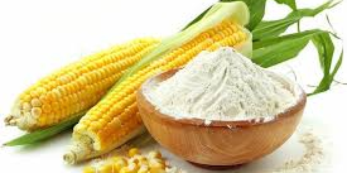 Native Starch Market Trends, Industrial Growth, Food and Pharmaceutical Demand, Technological Progress, and Regional Opp