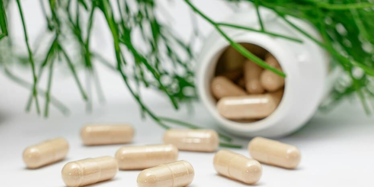 Vegan Supplements Market experiencing transformation through integration of superfoods and micronutrient-rich ingredient