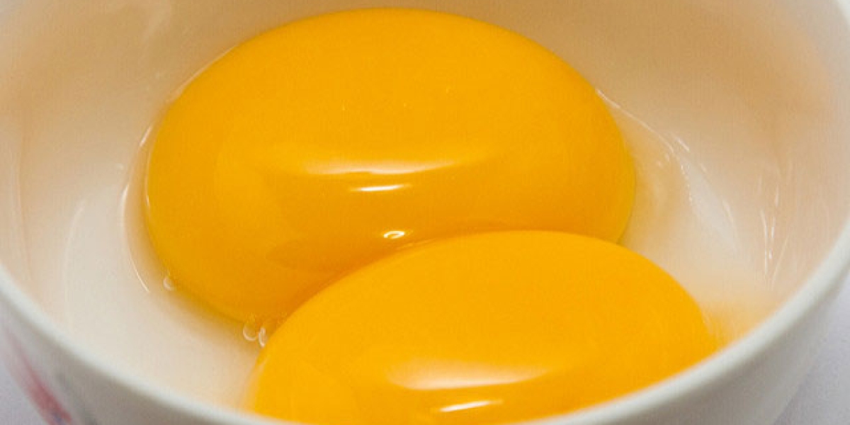 Egg Emulsifier Market Restraints And Challenges Impacting Growth And Global Adoption