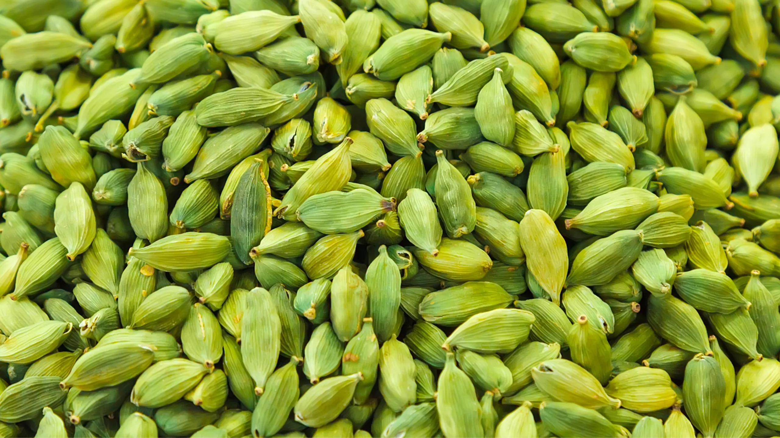 Elaichi - Swad Gaon Ka