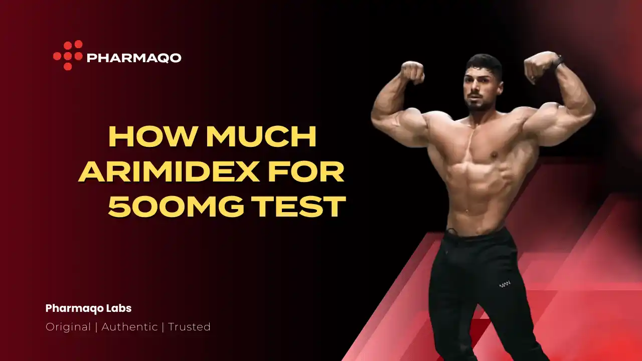 How Much Arimidex for 500mg Test – The Powerful Guide | Pharmaqo Labs
