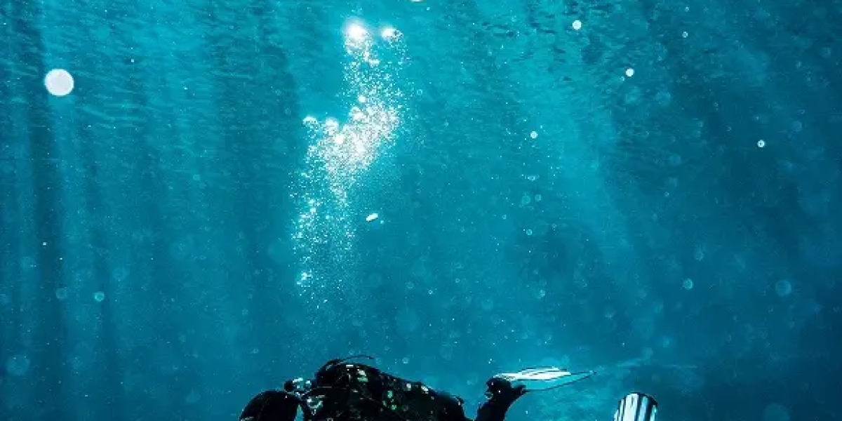 Mastering the Depths: The Growing Importance of Professional Diving Courses in Saudi Arabia