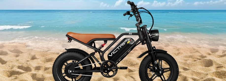 VICTRIP Ebike
