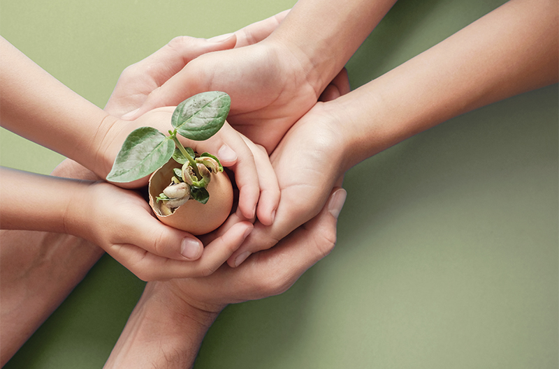 Donor Egg Program | Egg Donor Program in India | Corion