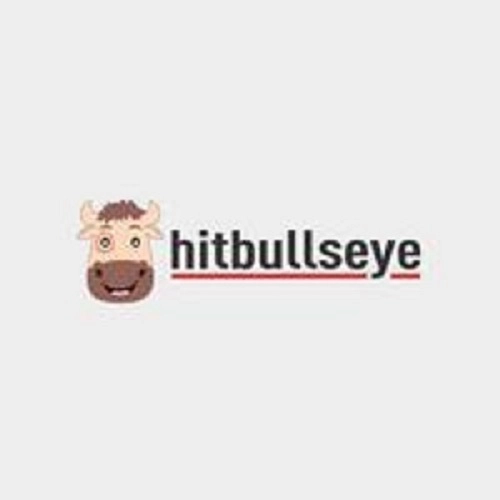 Hitbulls eye