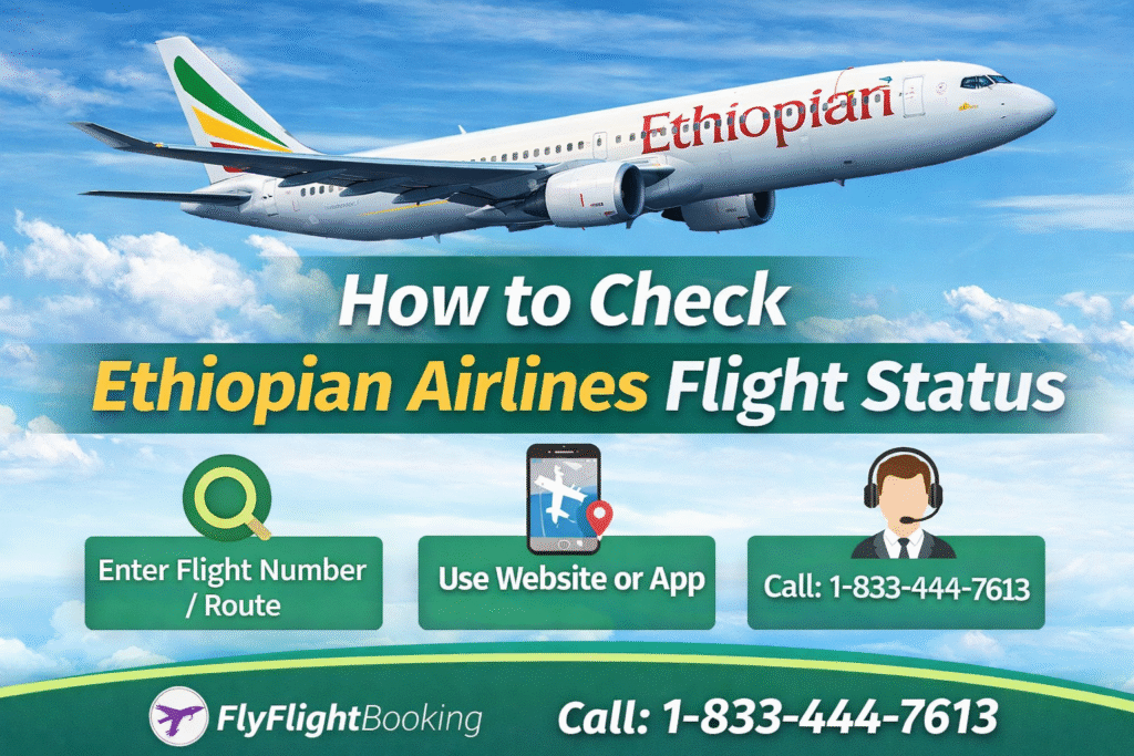 Ethiopian Airlines Flight Status: Check Live Updates Easily