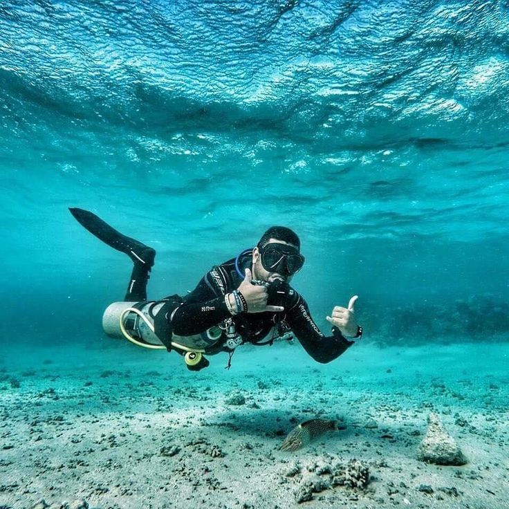 Ultimate Daily Shore Snorkeling Trip in Jeddah – Red Sea Fun