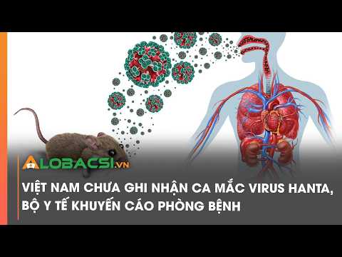 Việt Nam chưa ghi nhận ca mắc virus Hanta, Bộ Y tế khuyến cáo phòng bệnh
