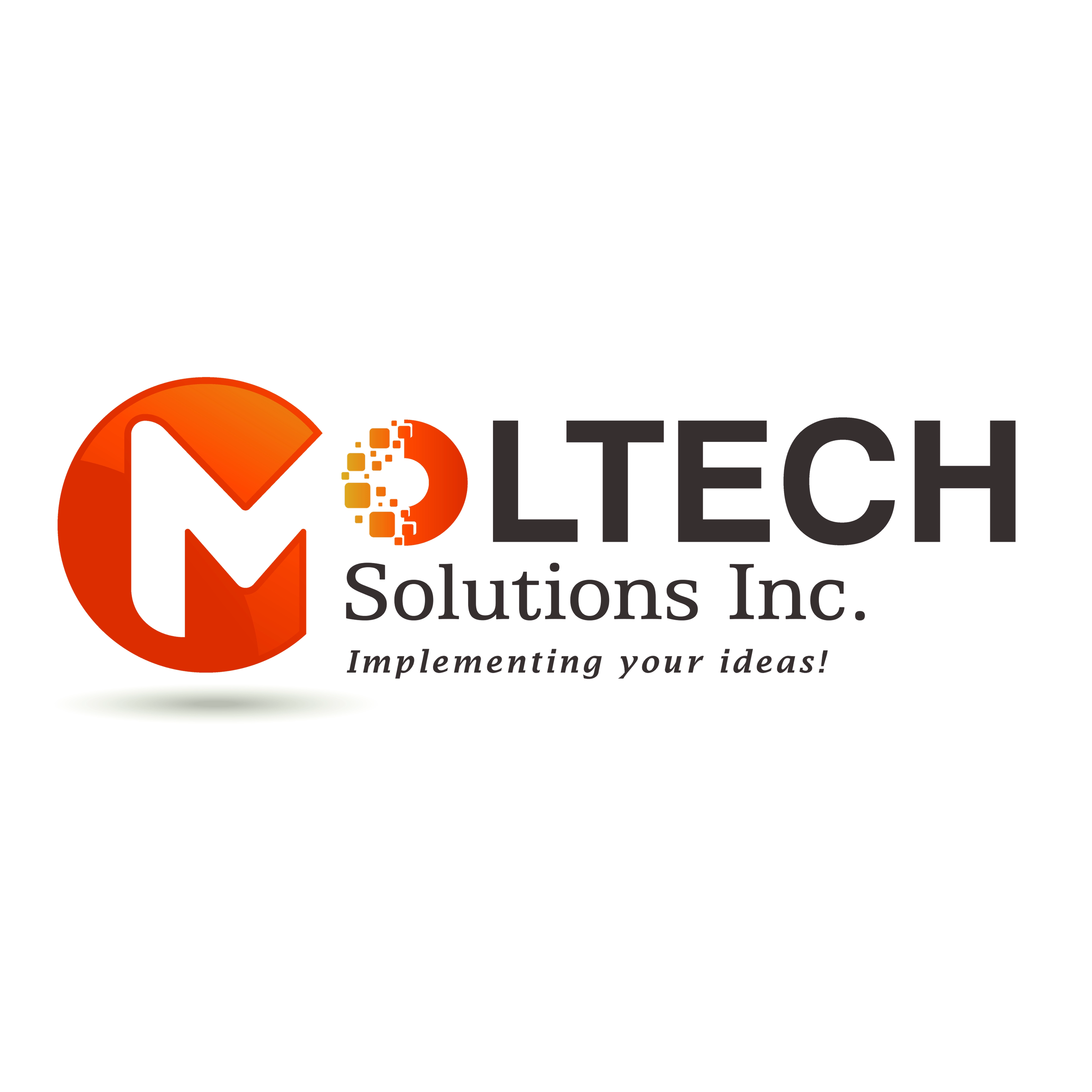 Moltech SolutionsInc