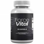 Force Vital2026