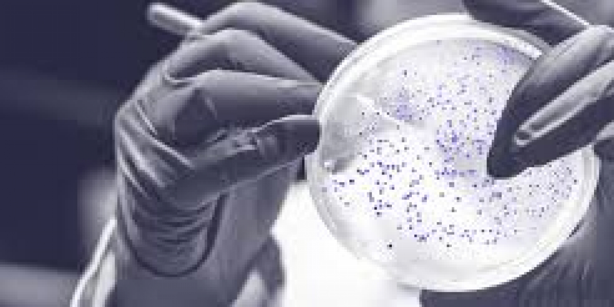 Biologics Testing Service Market Insights
