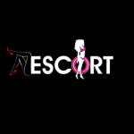 escservicechandigarh