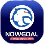 Now Goal