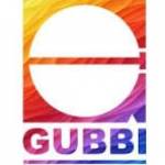 Gubbi Civil