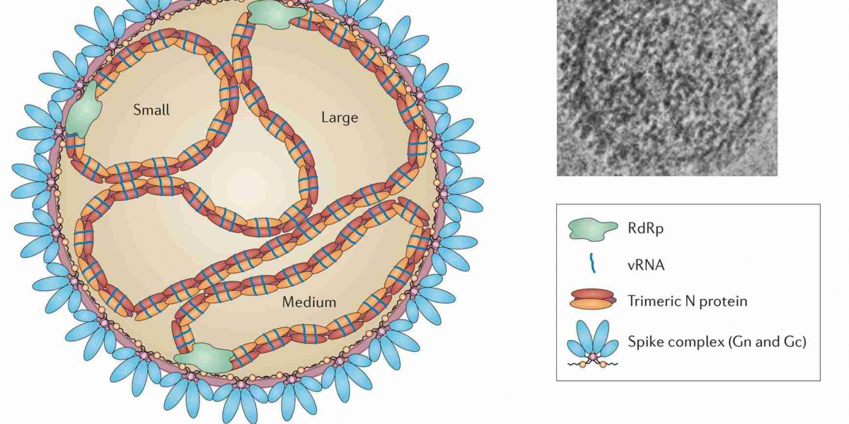 Hantavirus Research Reagents and Products to Accelerate Global Diagnostic and Vaccine Research