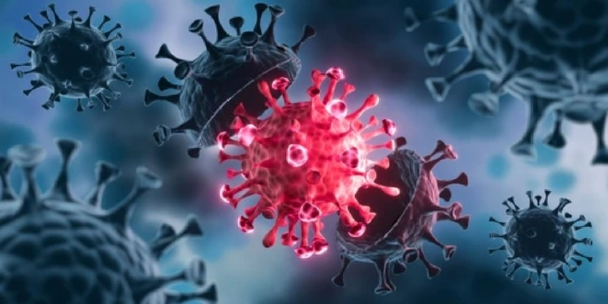 Respiratory Syncytial Virus Animal Model Services for Antiviral and Vaccine Discovery